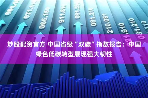 炒股配资官方 中国省级“双碳”指数报告：中国绿色低碳转型展现强大韧性